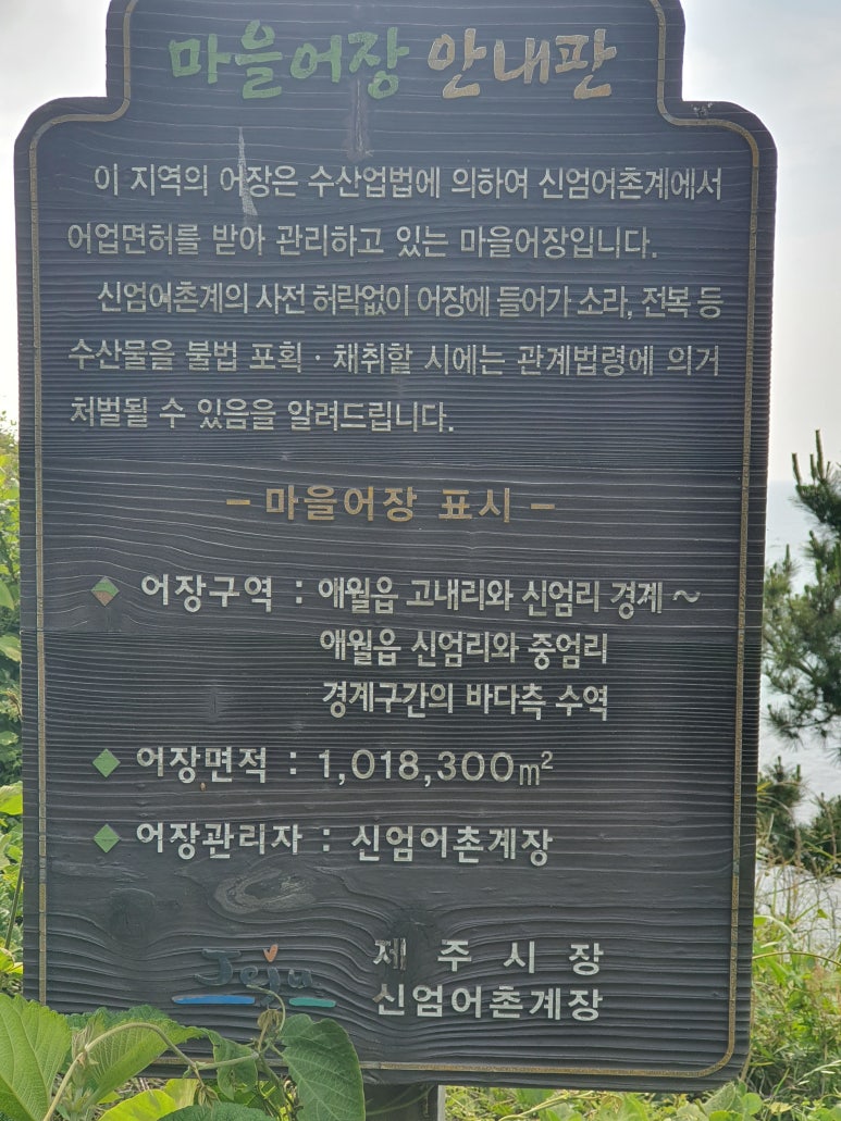 카페씨에나 이미지