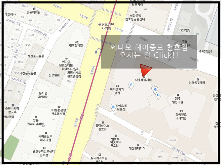 쎄다모 이미지