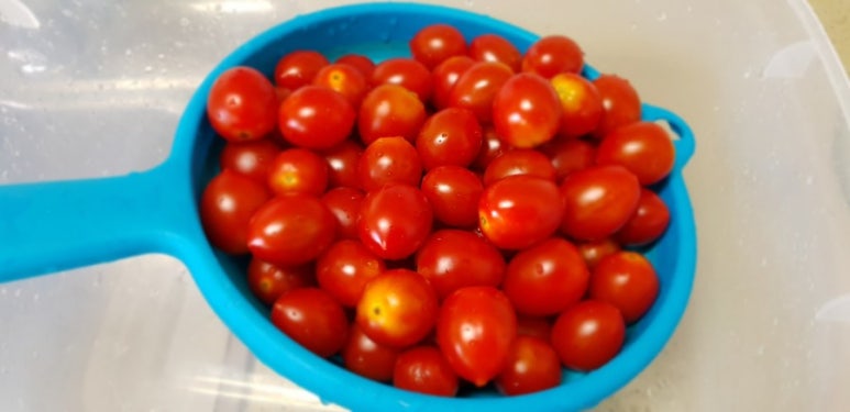 토마토 댄스스포츠학원 이미지