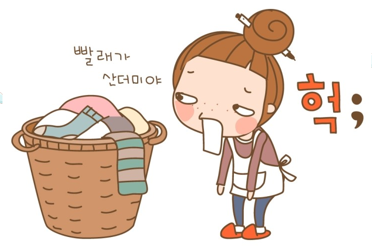 해바라기파출 이미지