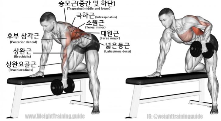 채로운 이미지