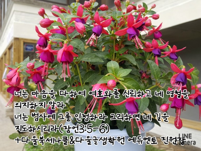 다울에듀 이미지