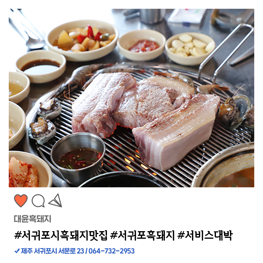 올레도야지 이미지