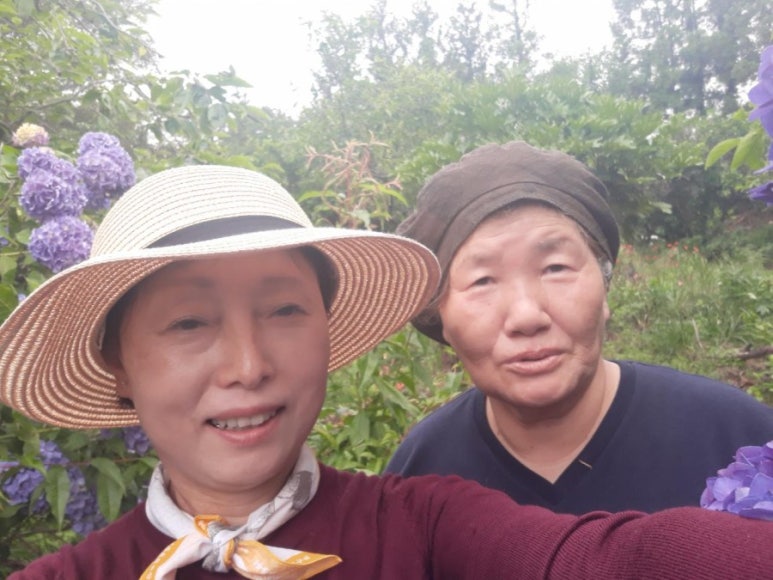 꽃마당 이미지