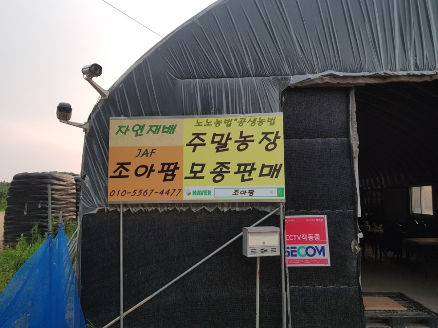 조아간판 이미지