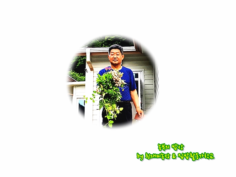 가나다상회 이미지