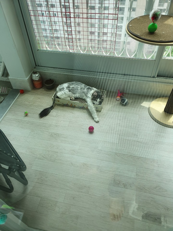 광주건철 이미지