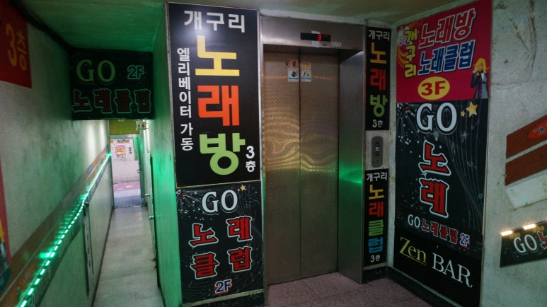 개구리노래클럽 이미지