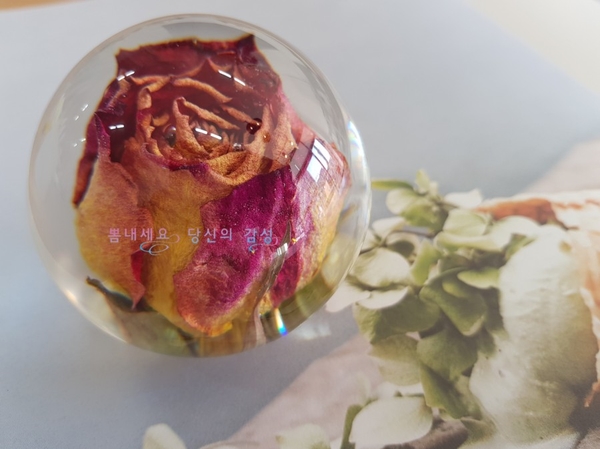 뽐하우스 이미지