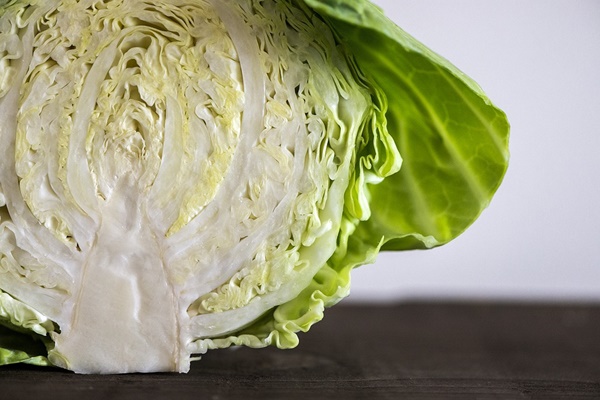 (주)야채마을 이미지
