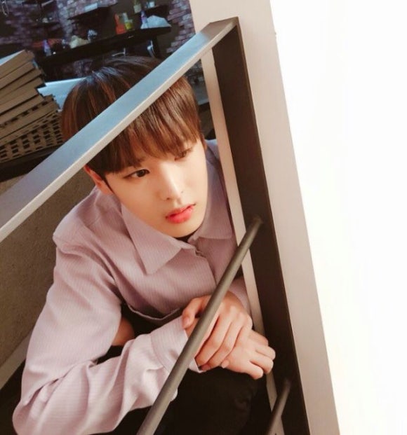 마켓다모아 이미지