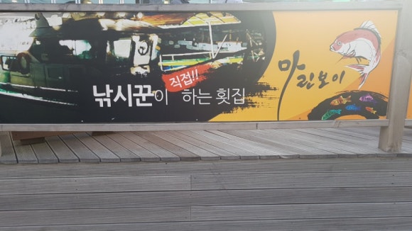용담마린 이미지
