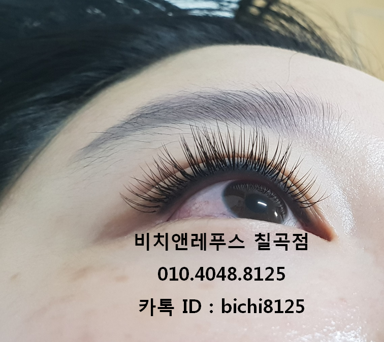 비치앤레푸스 이미지