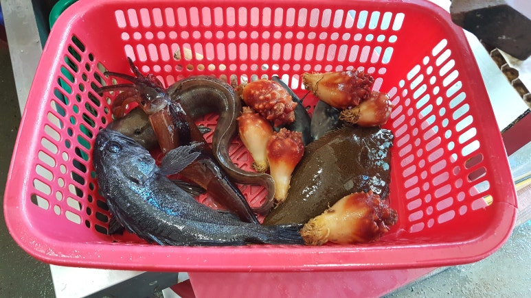 어살아있네 이미지