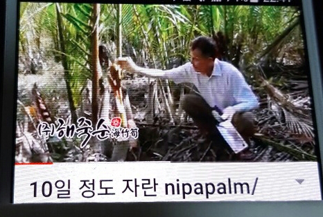 주)해죽순 이미지