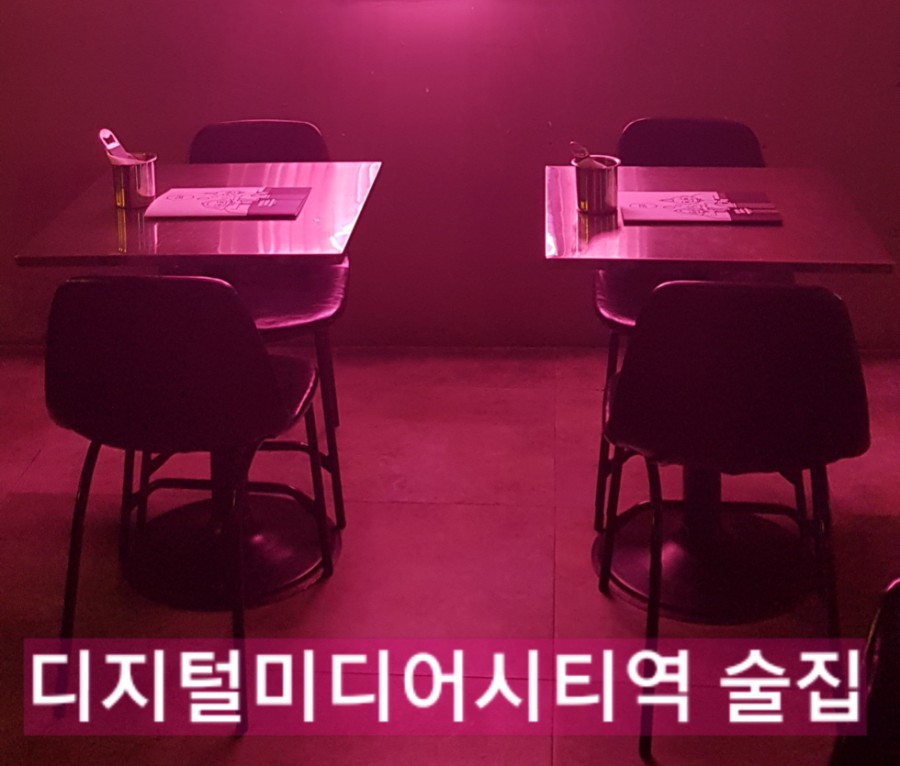 도리미디어 이미지