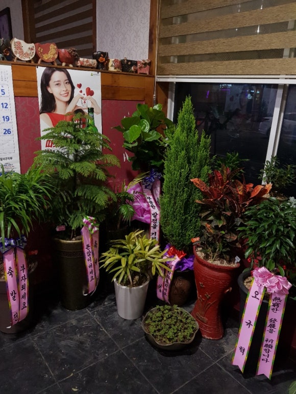 태평성 이미지