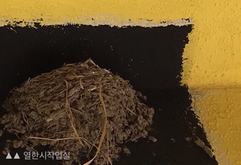 열한시작업실 이미지