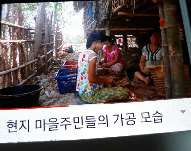주)해죽순 이미지