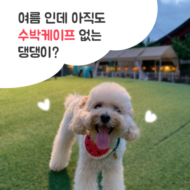 따따봉할인마켓 이미지