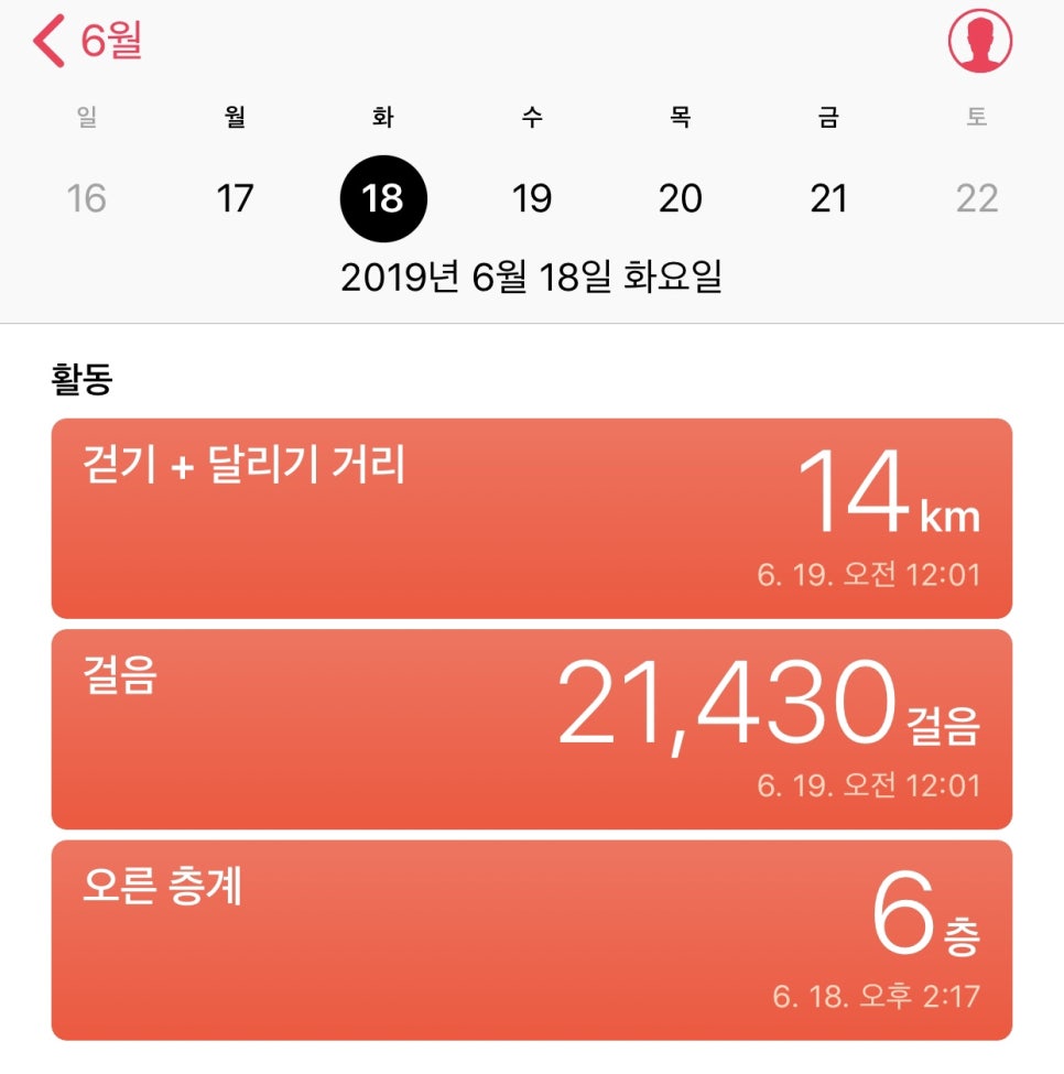 아리오 이미지