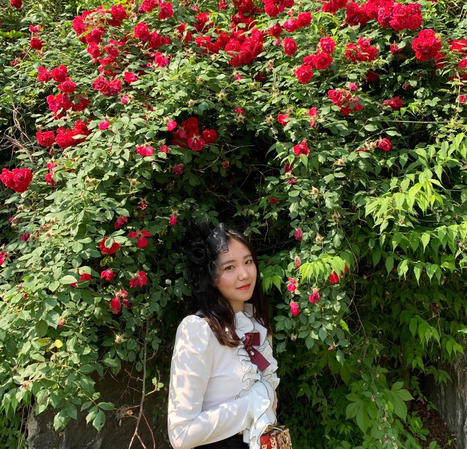 대일관광 이미지