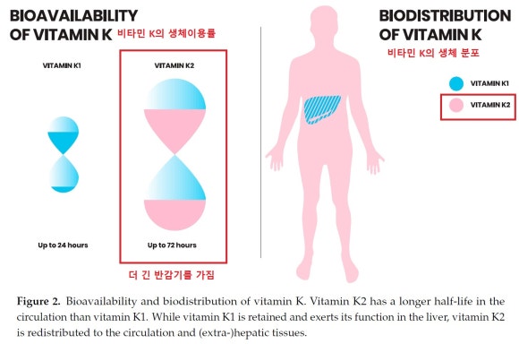 비타민 K2 + 비타민 D3(vitamin K2 + vitamin D3): 골다공증 개선과 혈관 석회화 예방을 위한 비타민 K2 ...