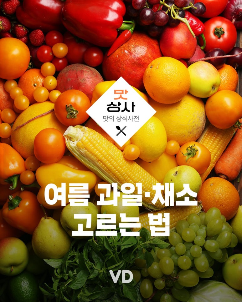 위고토이 이미지