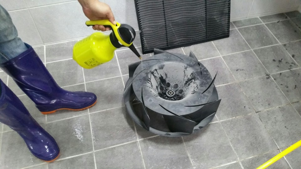 클린스쿨 부산 이미지