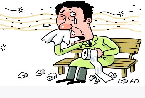 맑은몸한의원 이미지
