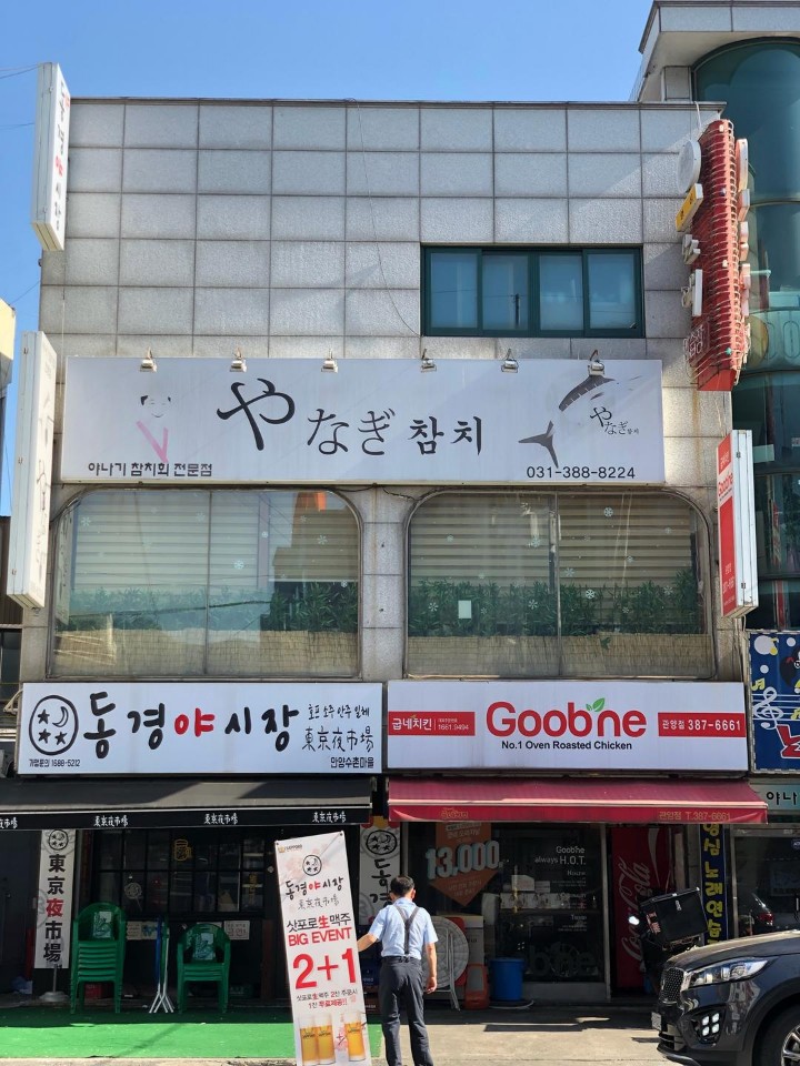 야나기참치 이미지