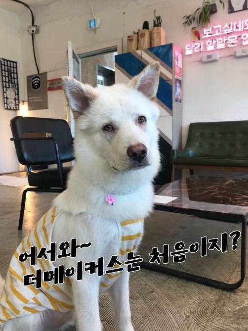 카페더메이커스 이미지
