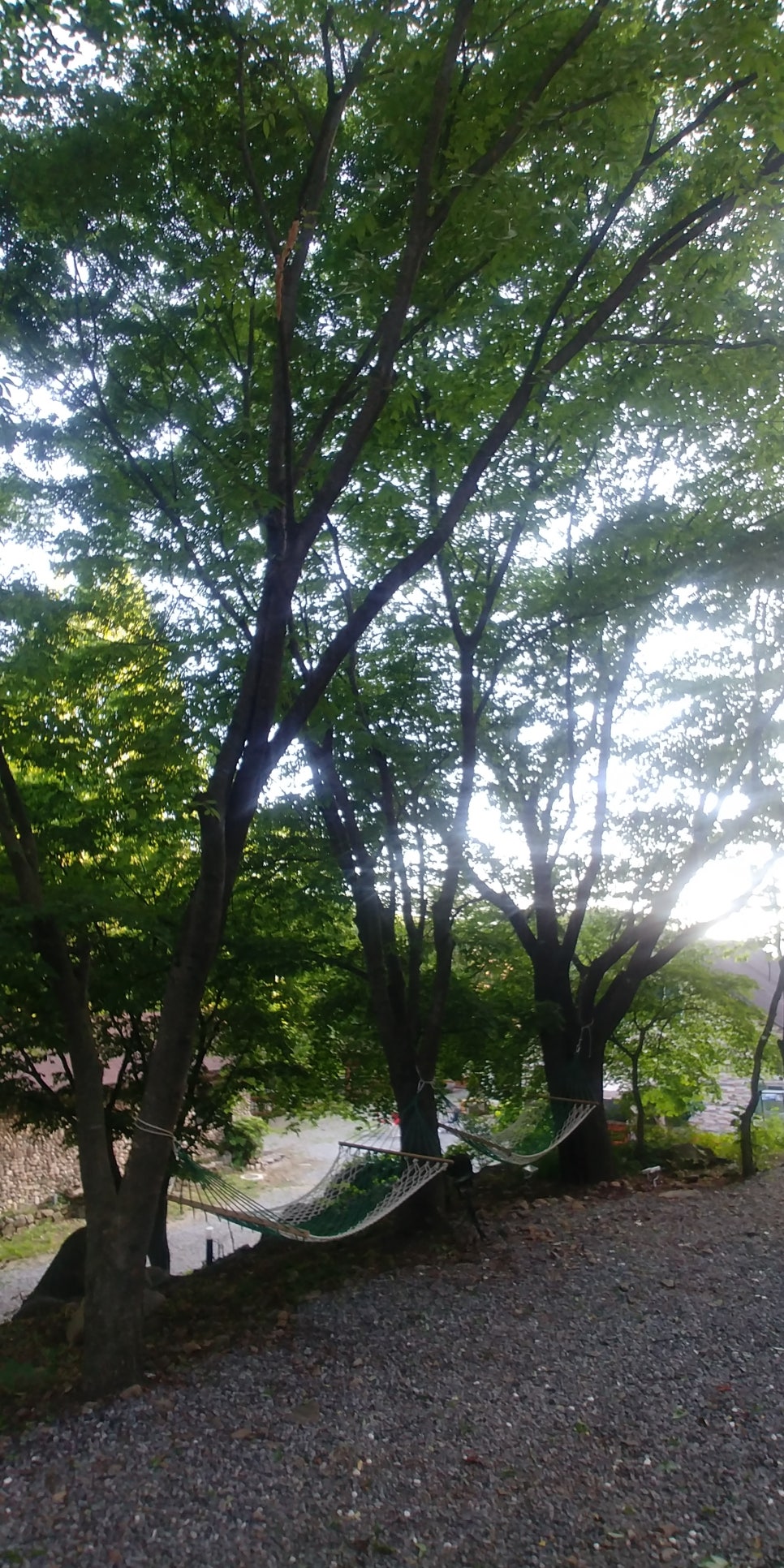 팜스테이펜션 이미지