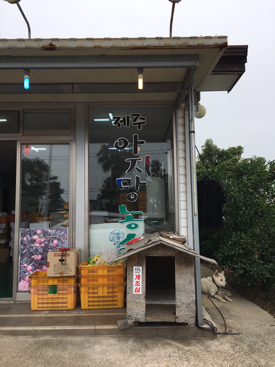 제주아지망농수산 이미지