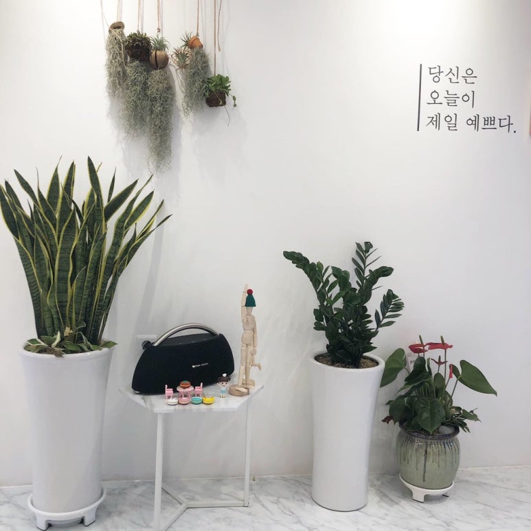 달달한상점 이미지