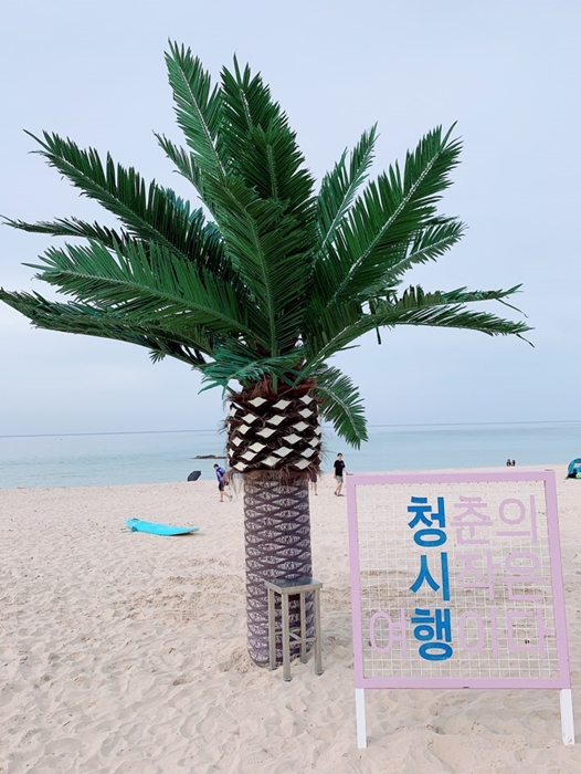 청시행비치 이미지