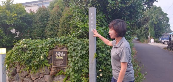 오시리가시리 이미지