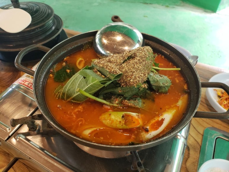 깊이울오리 이미지