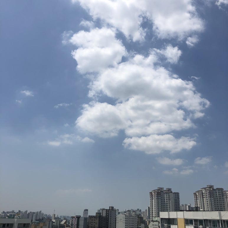 빵비어꾸차 이미지