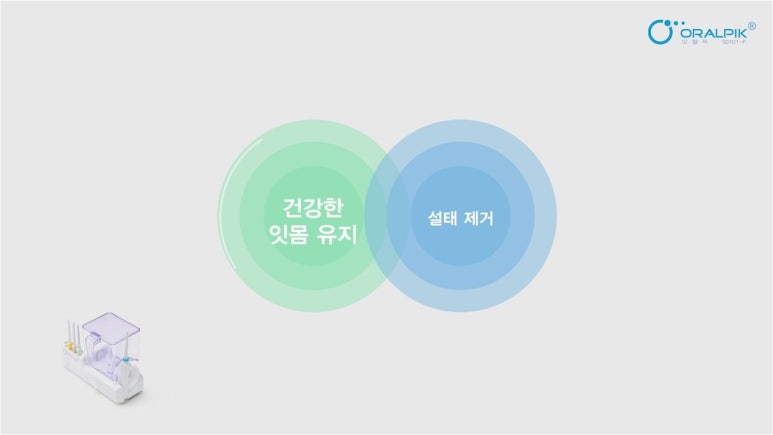 팝테크 이미지