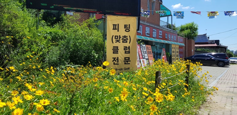 피톤골프 이미지