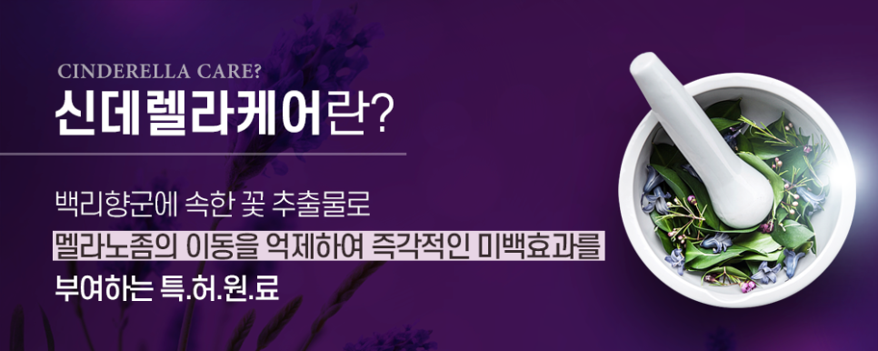 신데렐라뷰티 이미지