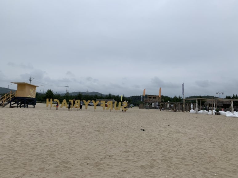 써피써피 이미지