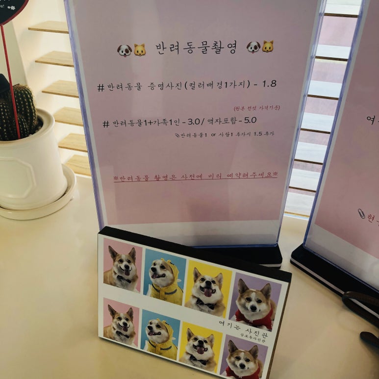 여기는사진관 이미지