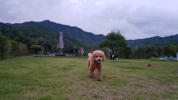 잔디하우스 이미지