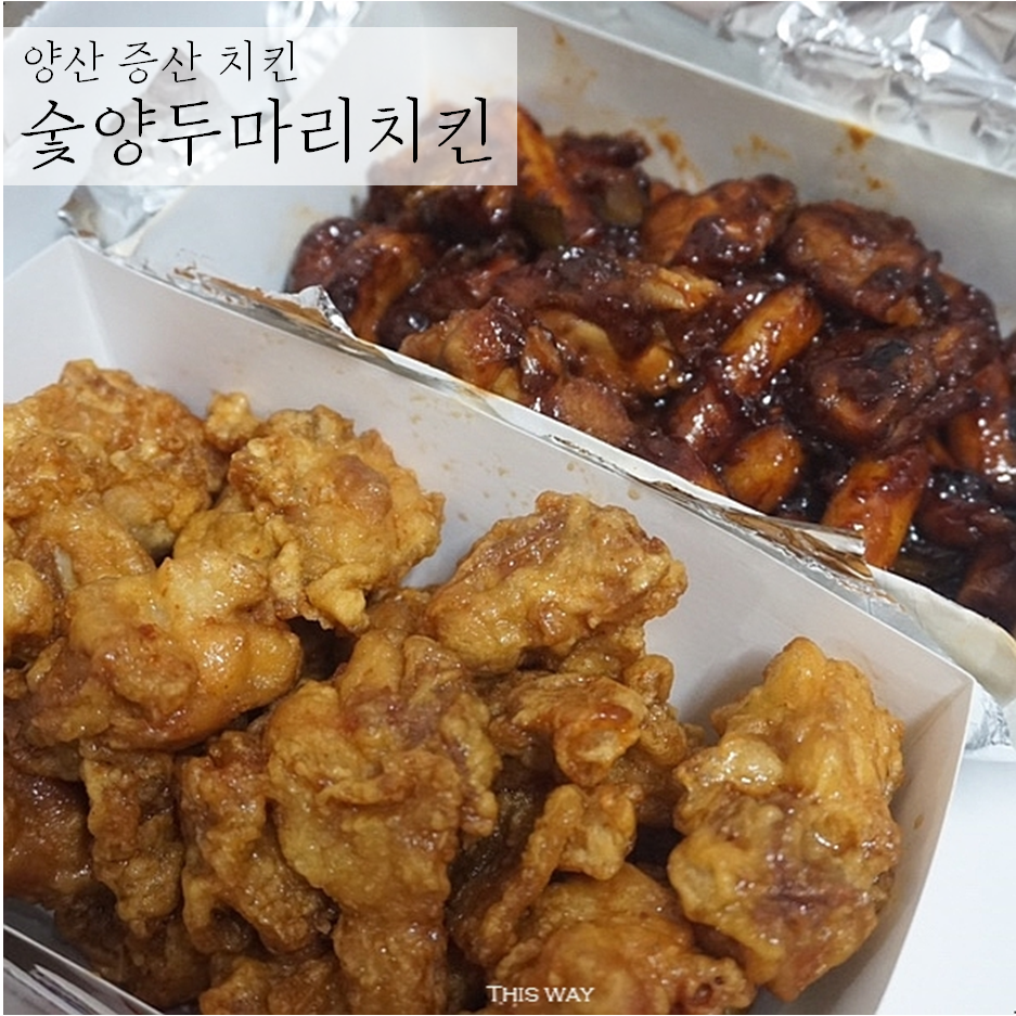숯양두마리치킨 이미지