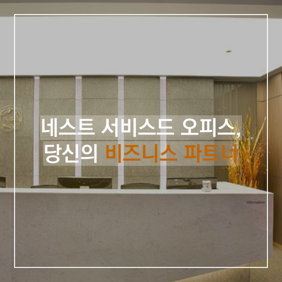 세무법인영진 이미지