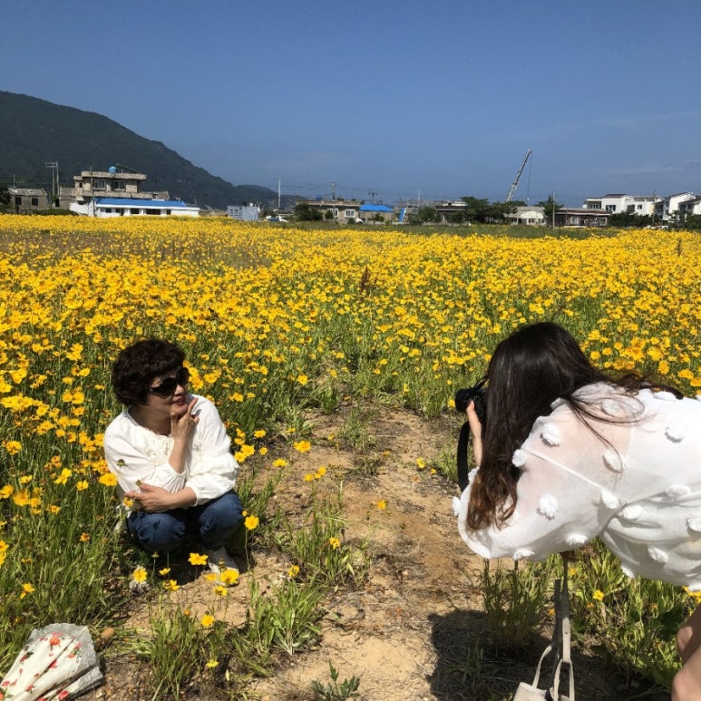 위드투어 이미지