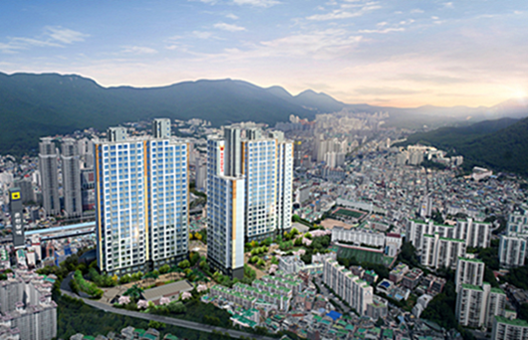 디더블유디 이미지