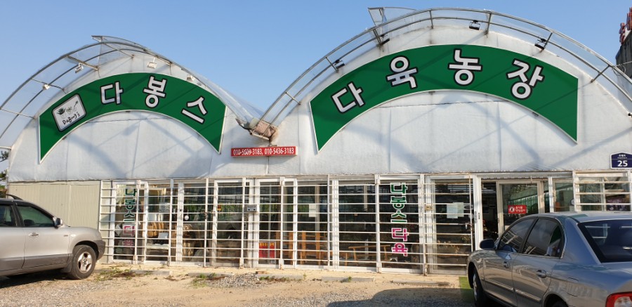 다봉스다육 이미지
